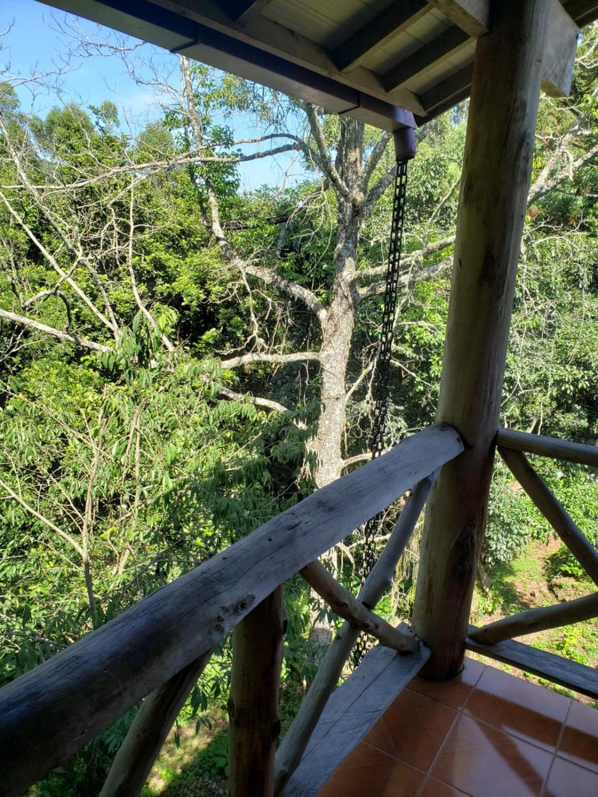 Pousada da Chacara Nova Petropolis Exterior foto